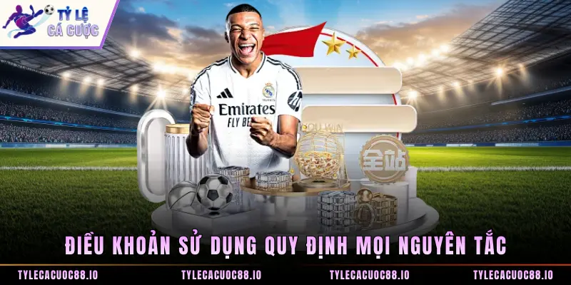 Điều khoản sử dụng quy định mọi nguyên tắc