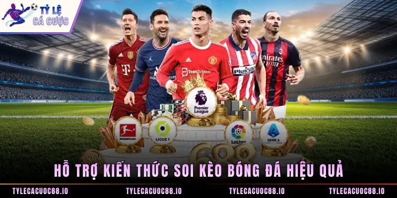 Hỗ trợ kiến thức soi kèo bóng đá hiệu quả